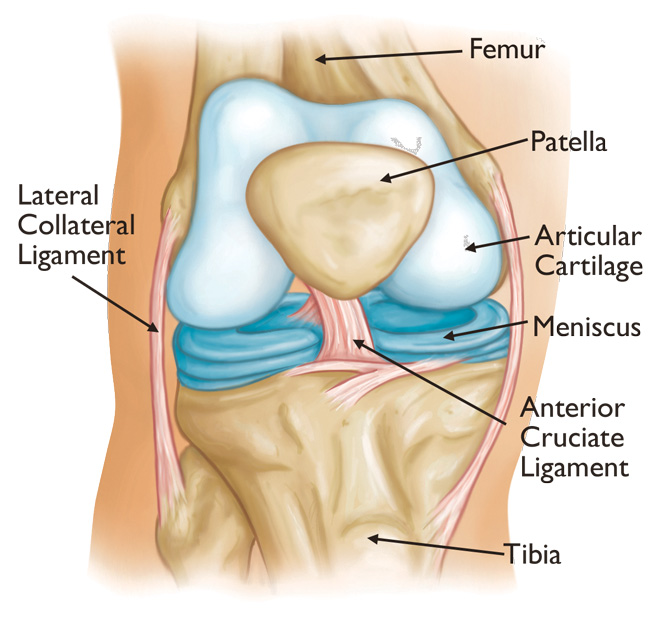 dureri de genunchi în partea exterioară